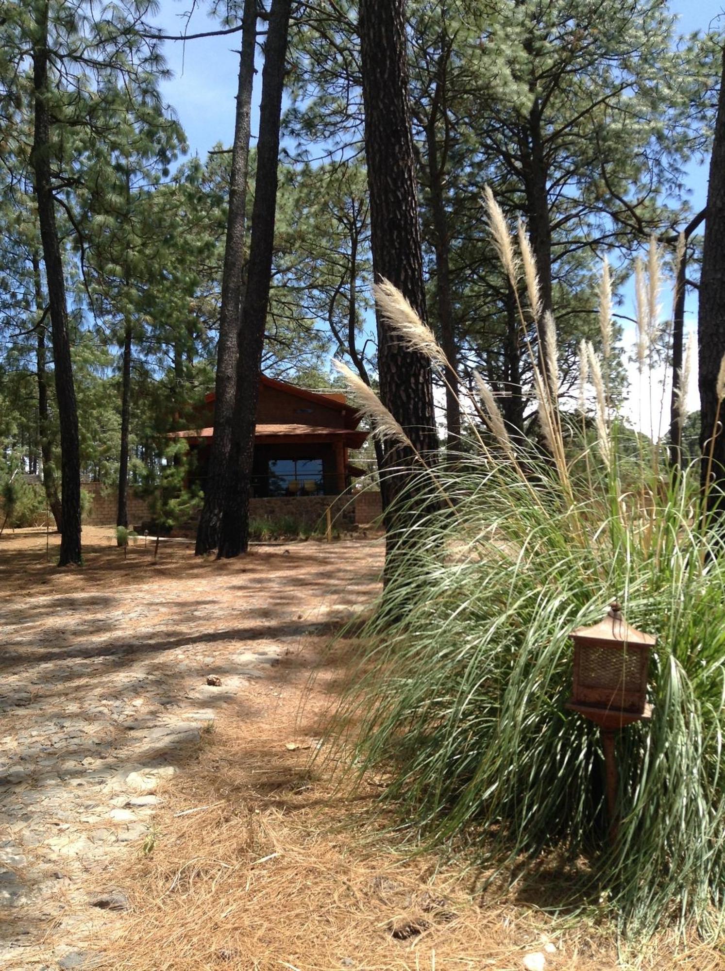 Hotel Monterra Tapalpa Pokoj fotografie